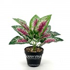 Cây giả để bàn cao 35cm